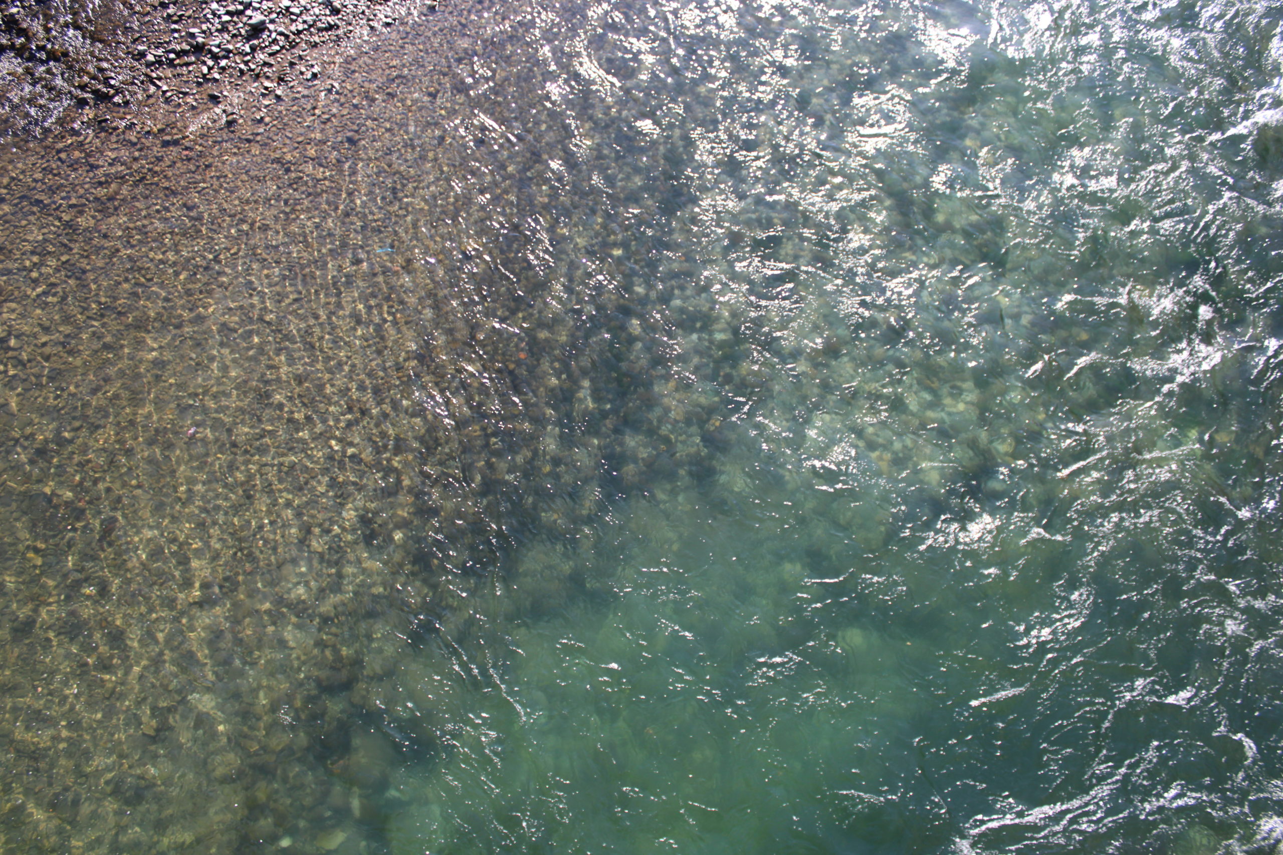 flowing river for our nature background in our homepage